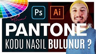 Pantone Renk Kodu Nasıl Bulunur Adobe İllustrator ve Photoshop [upl. by Amling474]