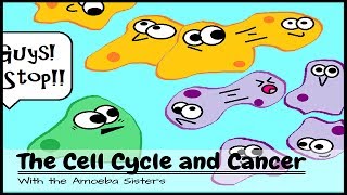 OLD VIDEO The Cell Cycle and Cancer [upl. by Jamilla]