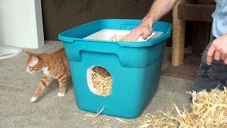 How to Make a Feral Cat Shelter [upl. by Aker368]