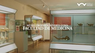 Museo de Antropología Médica Forense Paleopatología y Criminalística I Profesor Reverte Coma [upl. by Gannes]