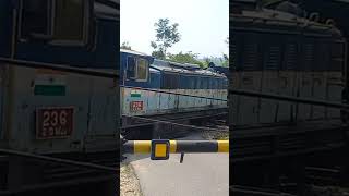 Joginder nagar Rail gadi Train joginder nagar [upl. by Gay639]