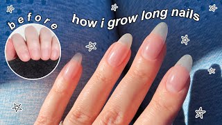 HOW I GROW LONG NATURAL NAILS  The Beauty Vault [upl. by Viv644]