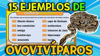 20 EJEMPLOS DE Animales OVOVIVÍPAROS [upl. by Rimaa31]