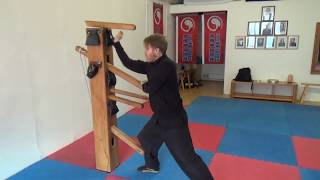 Learn Choy Li Fut Kung Fu  Ping Kuen form [upl. by Yeliab]