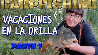 💥Vacaciones en la orilla💥🎣Parte 1🎣🔥Carpfishing 2024🔥 [upl. by Arvin]