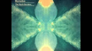 Bonobo  Heaven For The Sinner feat Erykah Badu Official Audio [upl. by Valenza]