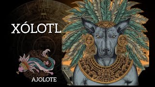 LA LEYENDA DEL AJOLOTE  DIOS XÓLOTL EL QUINTO SOL [upl. by Cynarra]