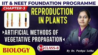 7 Artificial Methods Of Vegetative Propagation  Reproduction In Plants  Class8  Biology  Edu [upl. by Volpe]