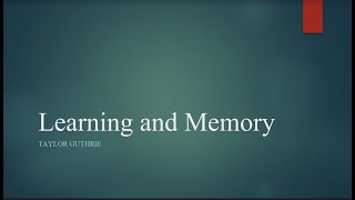 Learning and Memory [upl. by Ydnis781]