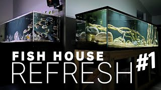 A Week in Review Life in My FISH HOUSE [upl. by Meghan]