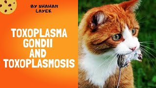 Toxoplasma Gondii and Toxoplasmosis  Clinical Manifestations  Life cycle  Treatment [upl. by Chemash79]