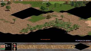 AOE2 Aggression Tactics [upl. by Kalasky]