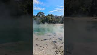 Rotorua sulphur spring👌✨ Newzlend  Mimicry  Mahesh kunjumon  comedy voicemimicry [upl. by Vivianna]