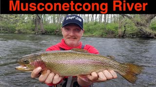 Musconetcong River Trout Fishing [upl. by Acirt]