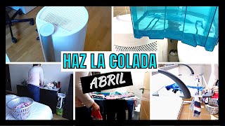 💦 Deshumidificador BIGDRY 9000 professional de CECOTEC 🧺 HAZ la COLADA conmigo 2021 👚 [upl. by Zalea]