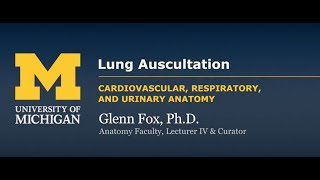 Demonstration Lung Auscultation [upl. by Thetes]