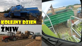 WJEŻDŻAMY W ŻYTO🌾Agro Dniówka 202😁Agro Kuzyni [upl. by Theola]