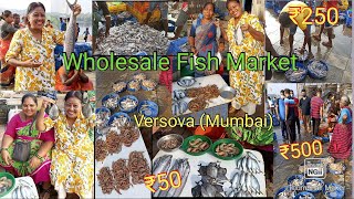 Wholesale Fish Market in Mumbai  Biggest fish Market in Versova Mumbai [upl. by Garcon140]