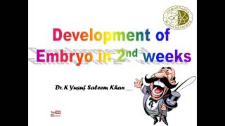 Development during the second week of development  Dr Yusuf [upl. by Leuams237]