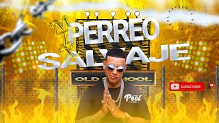 MIX PERREO SALVAJE🔥😈Top clásicos del reggaetonPorqueTe demorasBailamorenaGasolina DEEJAYPOOL [upl. by Dann816]