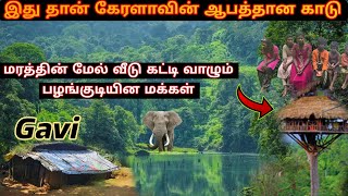 கேரளாவின் மிக ஆபத்தான Gavi காடு அடர்ந்த காட்டில் மரத்தின் மேல் இரண்டே வீடுகள்Tribal Village [upl. by Thecla]