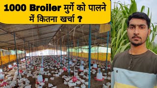 1000 Broiler chicken farming Cost Poultry farming business [upl. by Gabby]