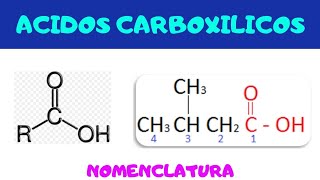 ACIDOS CARBOXÍLICOS  Grupo Funcional y Nomenclatura [upl. by Anitsim]