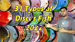 31 Types of Discus Fish 2022  Famous Discus Fish Variety in the World [upl. by Novhaj989]