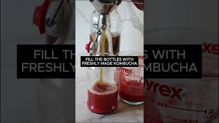 How To Make Strawberry Kombucha kombucha [upl. by Burnard693]