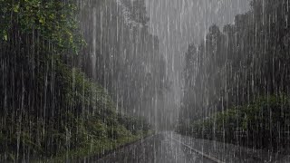 Lluvia Relajante Para Dormir en 5 Minutos  Sonido de Lluvia en el Bosque Brumoso  ASMR [upl. by Aramas]