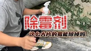 这个除霉剂这些霉真的能去掉吗？墙体发霉 除霉 好物推荐 除霉剂 [upl. by Rutger696]