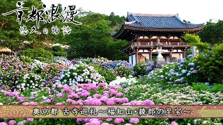 【BS11KBS京都】「京都浪漫 悠久の物語」第156回「奥京都 古寺巡礼～福知山・綾部の至宝～」（BS11で2024年10月21日放送分） [upl. by Nylirret776]