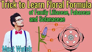 Trick to Write Floral Formulas of Family Fabaceae Solanaceae amp Liliaceae  Morphology via NCERT [upl. by Admama]