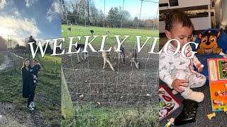 WEEKLY VLOG  SICKNESS BUG BABY SIGN LANGUAGE amp FEEDING THE REINDEERS [upl. by Ainadi178]