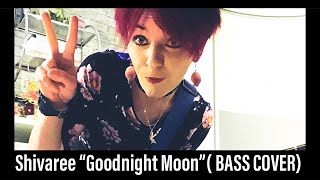 Shivaree “Goodnight moon” BASS COVER [upl. by Norved449]