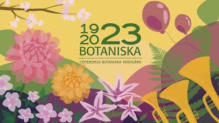 Göteborgs botaniska trädgård firar 100år [upl. by Merell]