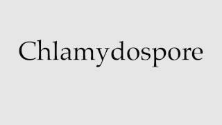 How to Pronounce Chlamydospore [upl. by Ermengarde]