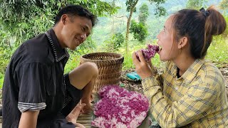 Harvest banana leaves to sell with boyfriend to clear weeds in the fields  Thao thi ket [upl. by Eugatnom468]