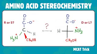 Amino Acid Stereochemistry  R amp S vs D amp L [upl. by Evered]