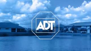 Learn about ADTs Authorized Dealer Program [upl. by Annahahs]