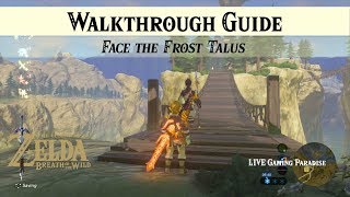 Breath of the Wild  Face The Frost Talus  Walkthrough Guide [upl. by Howlond]