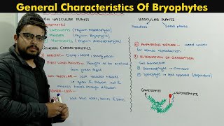 Bryophytes Plants Introduction Chapter Diversity Among Plants [upl. by Taub]