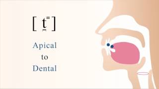 t̪⁼  unvoiced unaspirated apical dental stop [upl. by Crissie976]