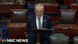 Full speech Sen Schumer calls for new elections in Israel [upl. by Wernher]