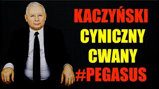 Przesłuchanie Kaczyńskiego potwierdzaże to cwany i cyniczny manipulator nie zniedołężniały starzec [upl. by Kania]