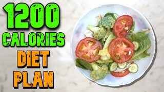 1200 Calorie Diet Plan [upl. by Ayital]