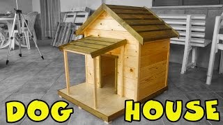 Dog House Cuccia per cani [upl. by Atinahs]