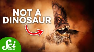 5 Famous Dinosaurs That Arent Actually Dinosaurs [upl. by Nashoma271]