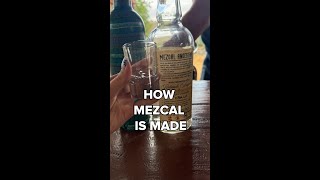 Smoky and delicious Whats your go to Mezcal drink [upl. by Meldon]