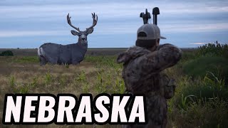 Bowhunting Mule Deer in Nebraska [upl. by Leiuqeze166]